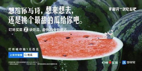 娱乐吃瓜文案,吃瓜群众必备的幕后花絮大汇总