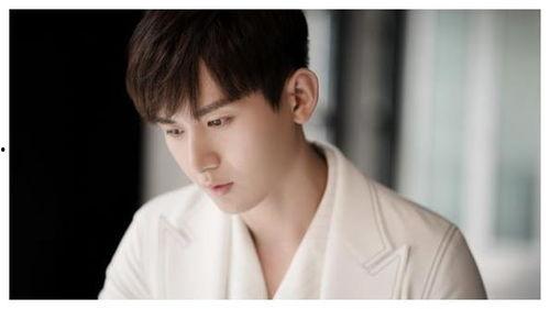 吃瓜娱乐圈成毅